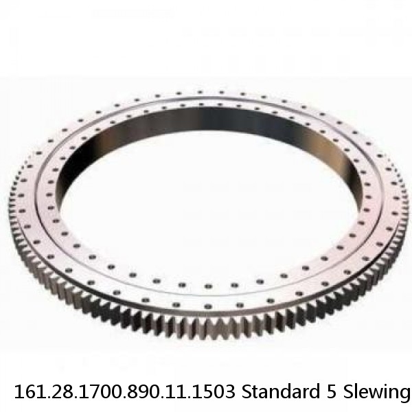 161.28.1700.890.11.1503 Standard 5 Slewing Ring Bearings