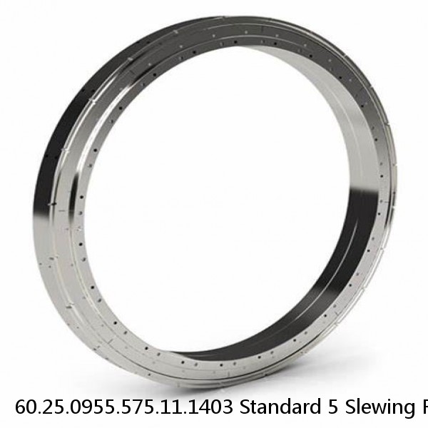 60.25.0955.575.11.1403 Standard 5 Slewing Ring Bearings