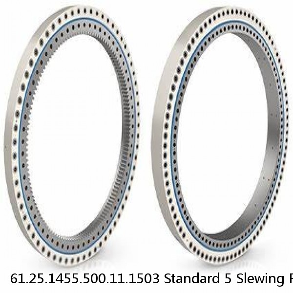 61.25.1455.500.11.1503 Standard 5 Slewing Ring Bearings