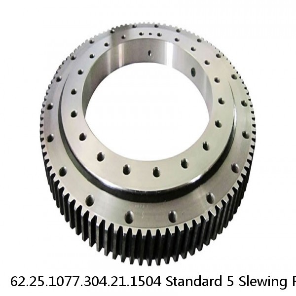 62.25.1077.304.21.1504 Standard 5 Slewing Ring Bearings