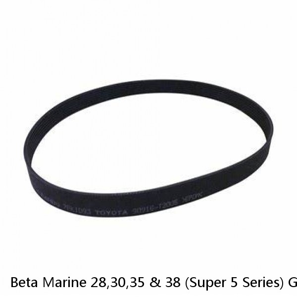 Beta Marine 28,30,35 & 38 (Super 5 Series) Genuine Service Kit & Poly Vee Belt
