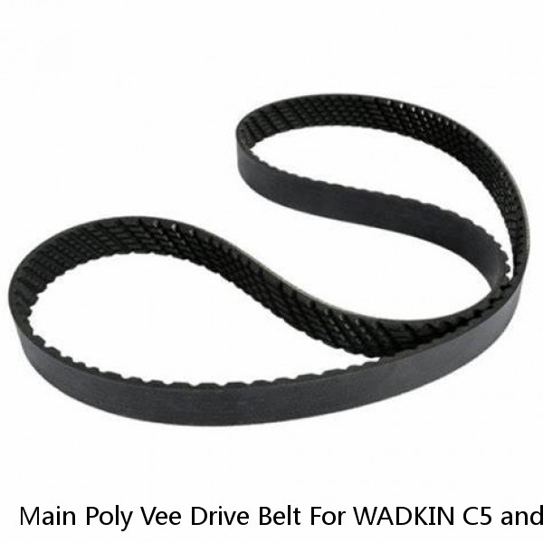 Main Poly Vee Drive Belt For WADKIN C5 and C6 Bandsaws - GENUINE PARTS