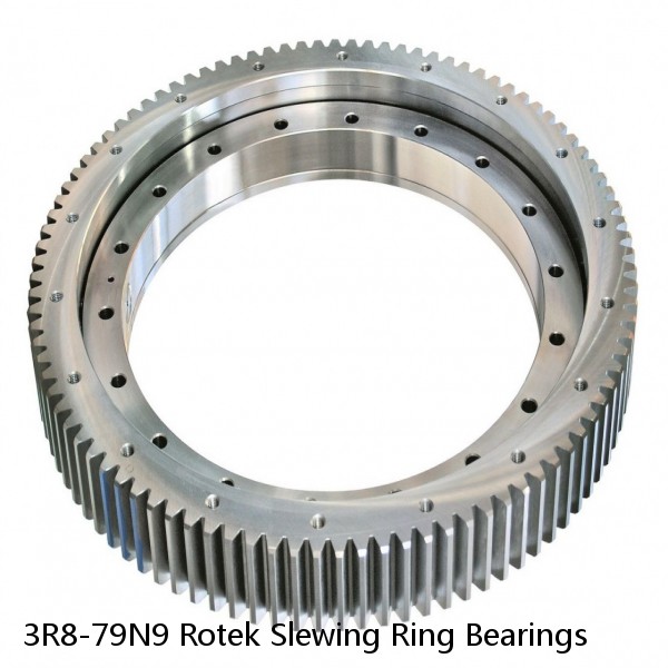 3R8-79N9 Rotek Slewing Ring Bearings