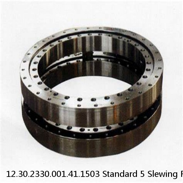 12.30.2330.001.41.1503 Standard 5 Slewing Ring Bearings