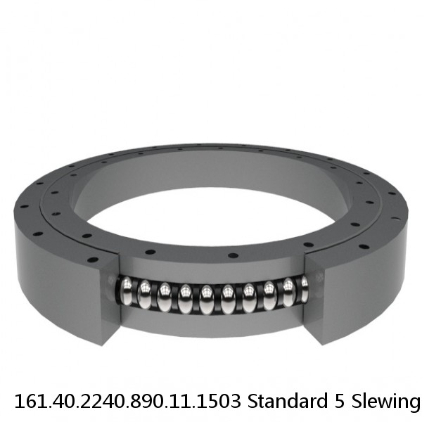 161.40.2240.890.11.1503 Standard 5 Slewing Ring Bearings