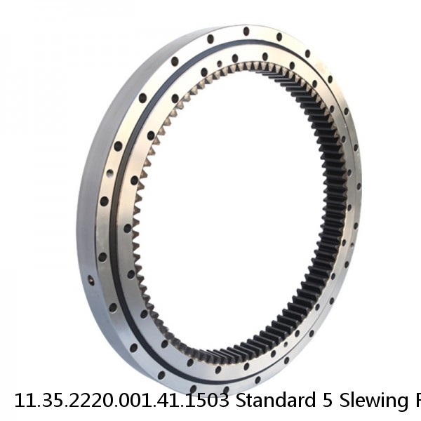 11.35.2220.001.41.1503 Standard 5 Slewing Ring Bearings